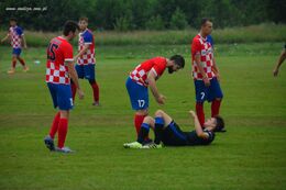 Puchar W&oacute;jta w piłce nożnej - zdjęcie nr 1