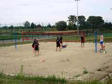 2019-08-10_pilka_plazowa - zdjęcie nr 1