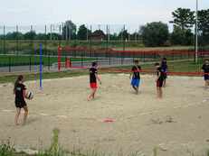 2019-08-10_pilka_plazowa - zdjęcie nr 1