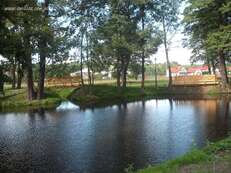 park_podworski - zdjęcie nr 1