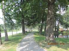 park_podworski - zdjęcie nr 1