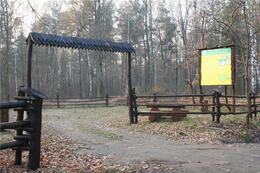 sciezka - zdjęcie nr 1