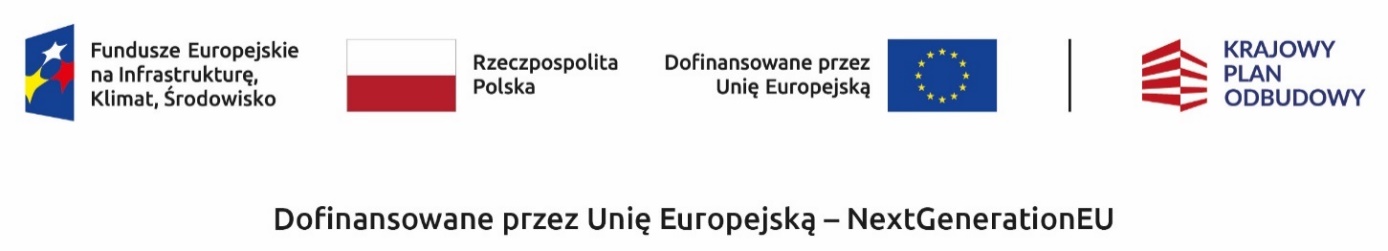 Loga dofinansowania