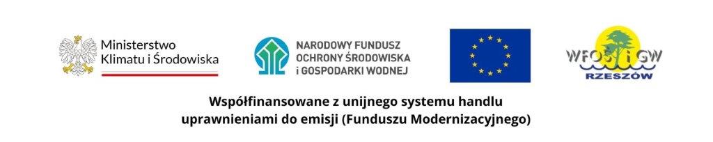 Logo wsp&oacute;łfinansującego