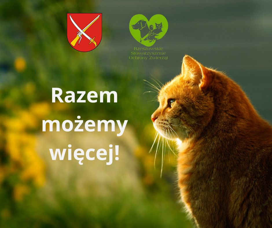 Baner podziękowania
