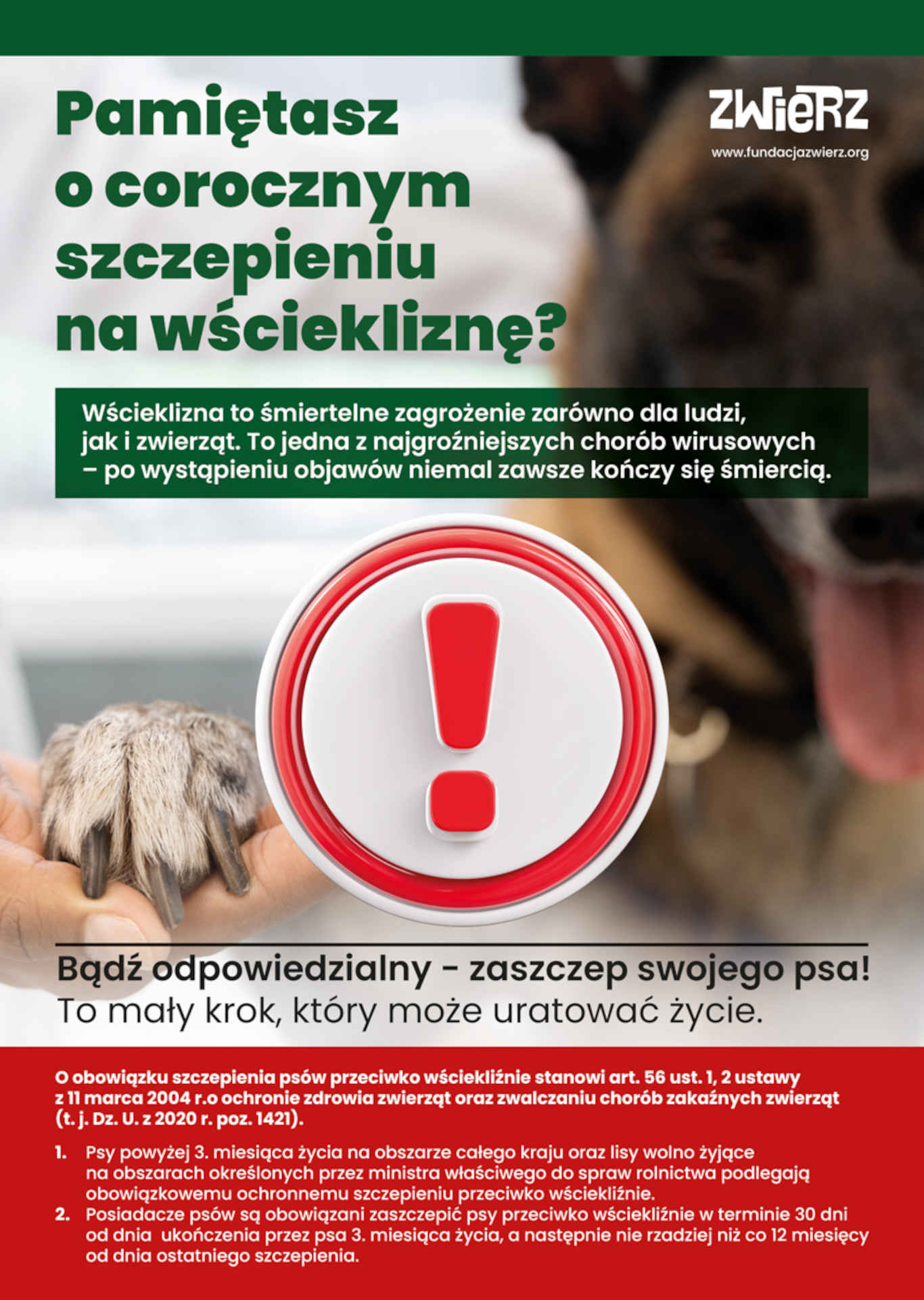 Plakat szczepienia psów