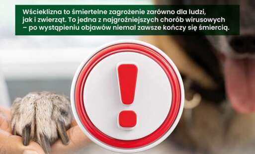 Baner - szczepienie psów