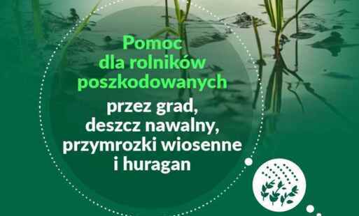 Baner pomocy