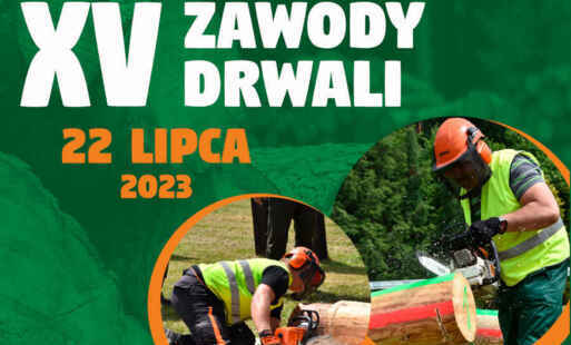 Plakat turniej drwali