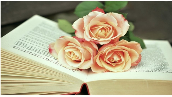 Książka z różami