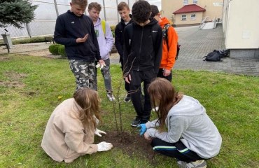 Dzieci sadzą sadzonki drzew