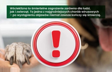 Baner - szczepienie psów