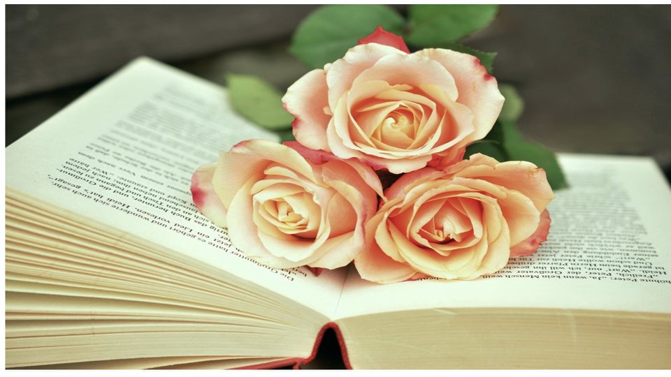 Książka z różą