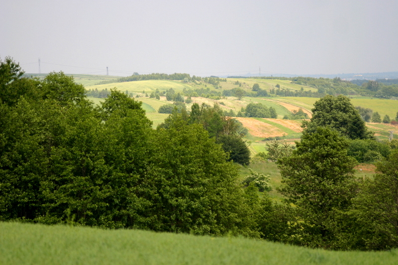 Szlak turystyczny pieszy