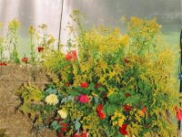 2004-09-05 - zdjęcie nr 120