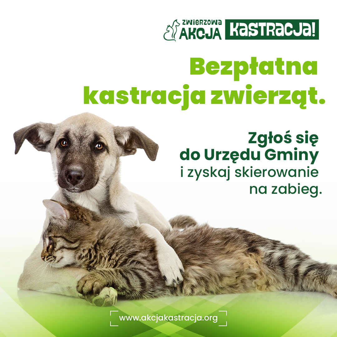 Plakat akcji bezpłatnej kastracji i znakowania zwierząt