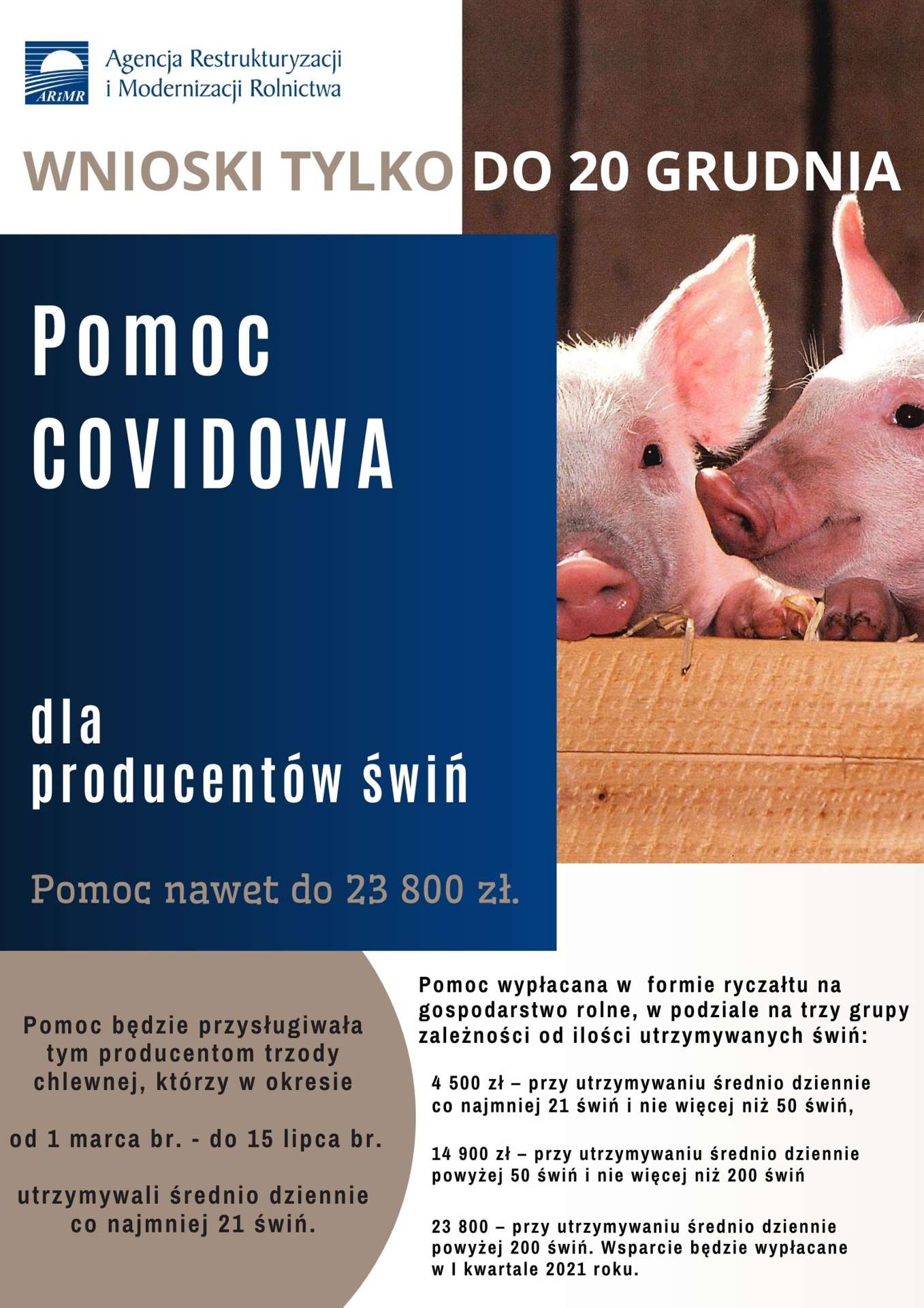 Transparent Pomoc covidowa