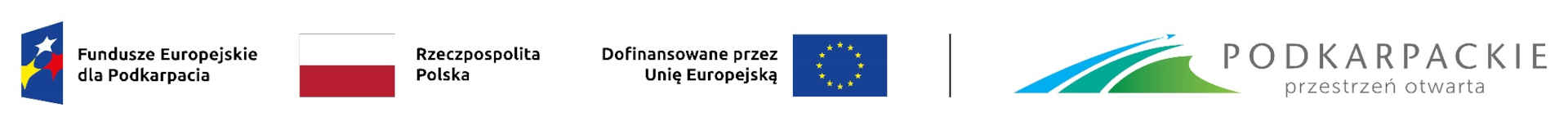 Loga projektu cyfryzacji