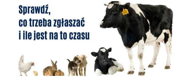 ebazarek
