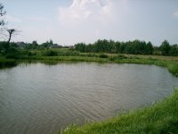 kam - zdjęcie nr 10