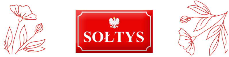 2024 soltys 1